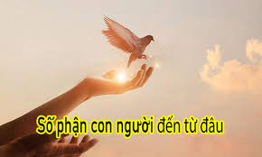 Số phận hay trách nhiệm cá nhân