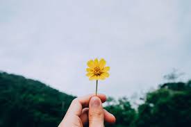 Hạnh phúc có cần sự công nhận?