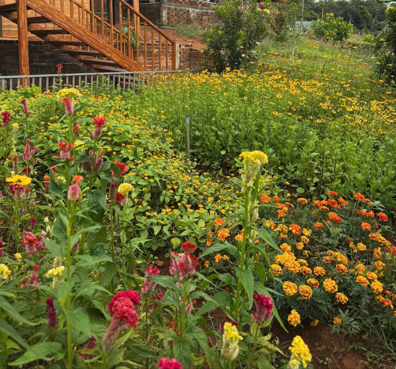 Phụ nữ và vẻ đẹp