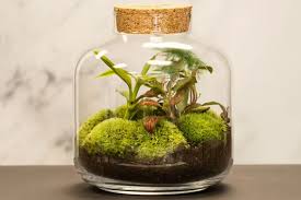 Khi sự im lặng cũng là một lựa chọn sống