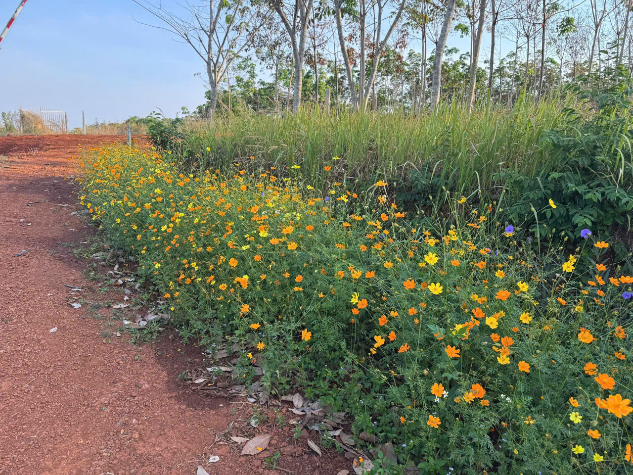 Mọi chuyện khác nhau ở vị thế và góc nhìn