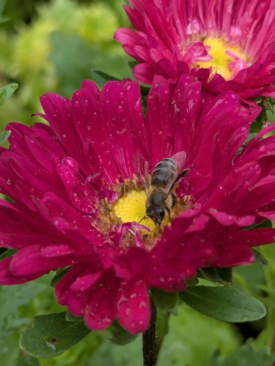 Hãy luôn là phiên bản của chính mình