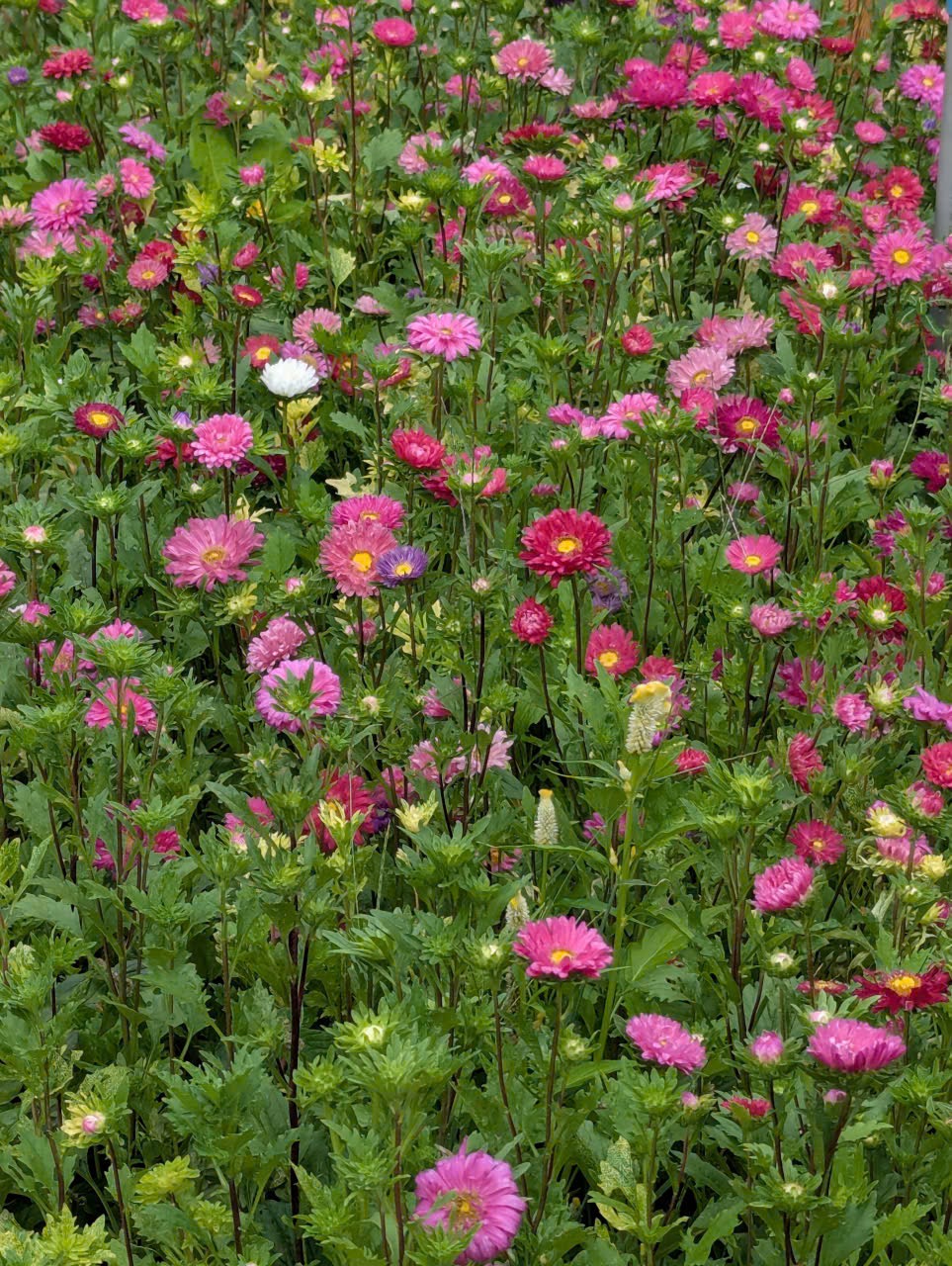 Hãy cố gắng rồi may mắn sẽ mỉn cười với bạn